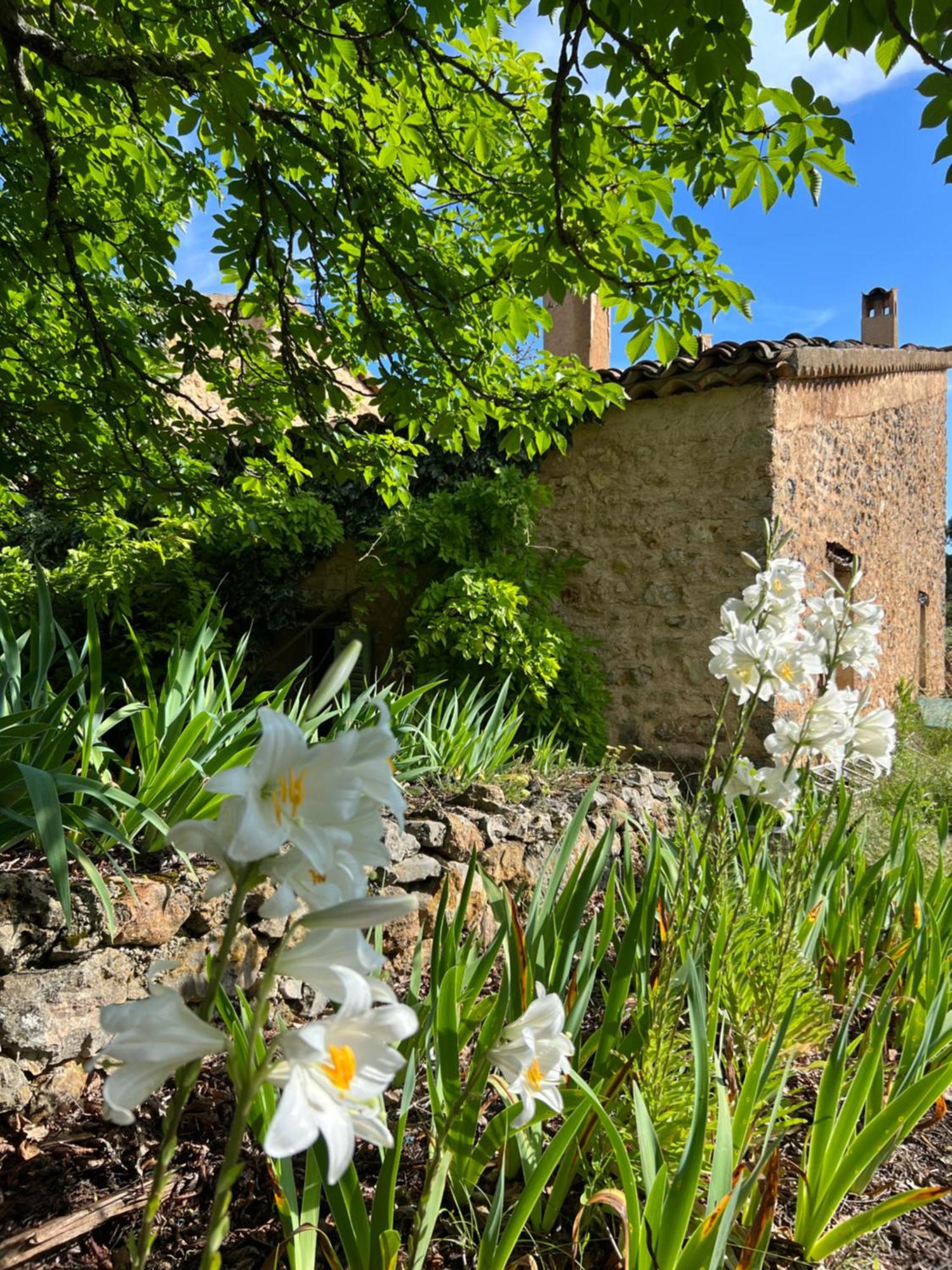 אופס Charmant Appartement Independant Au Sein D'Un Mas Provencal מראה חיצוני תמונה
